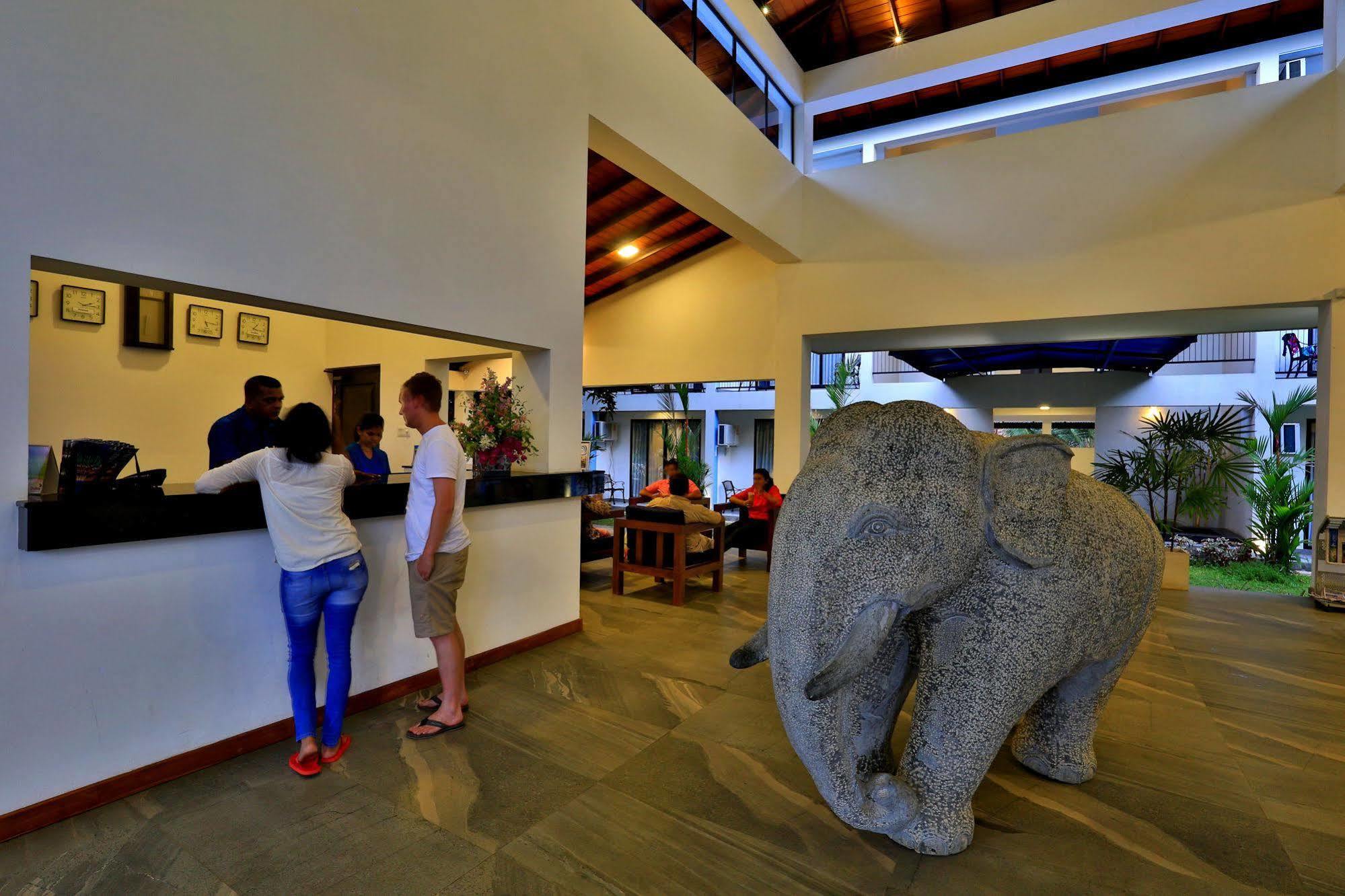 The Blue Wave Hotel Arugam Bay Bagian luar foto